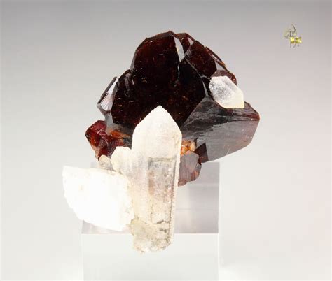 Quebul Fine Minerals Fine Quality Collection Minerals For Sale