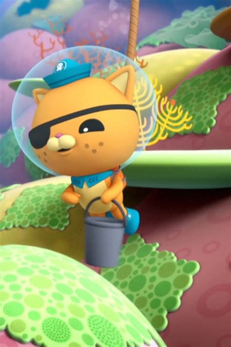 Octonauts And The Damselfish Pictures Rotten Tomatoes