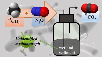 Coupled Methane And Nitrous Oxide Biotransformation In Freshwater