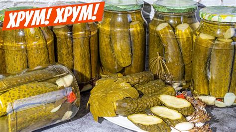 Эти огурцы на зиму БЕЗ СТЕРИЛИЗАЦИИ! ПОГРЕБ не нужен! Вкуснее чем ...