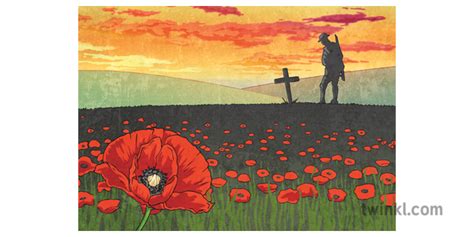 WW1 Poppy Field Remembrance Day KS2 Illustration - Twinkl