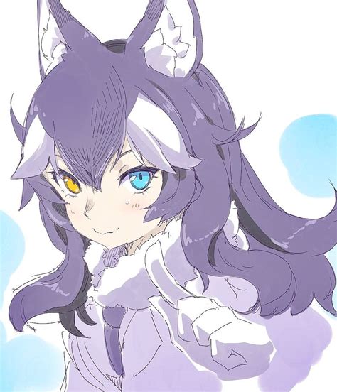 Grey Wolf Wolf Girl Anime Grey Wolf