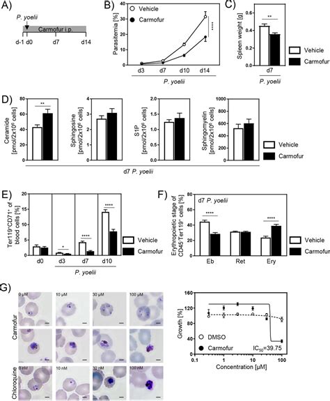 The Acid Ceramidaseceramide Axis Controls Parasitemia In Plasmodium