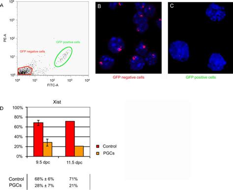 A Example Of Facs Plot Showing Gfp Positive And Gfp Negative Cell