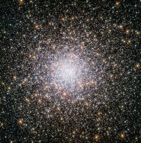 Beginners Escort to View Stunning Astronomical Objects