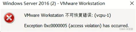 VMware Workstation 不可恢复错误 vcpu 1 Exception 0xc0000005 access