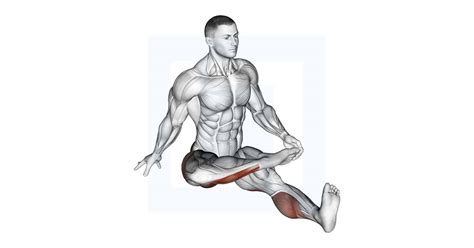 Plantar Flexion Stretch - Guide, Benefits, and Form