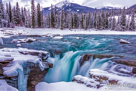 Hike Jasper - Athabasca Falls