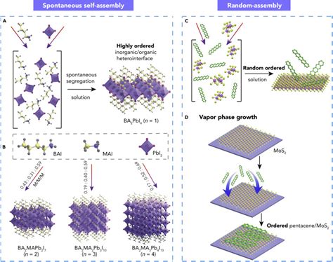 Organic Inorganic Hybrid Perovskites And Their Heterostructures Matter