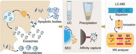 Microchemical Journal X Mol