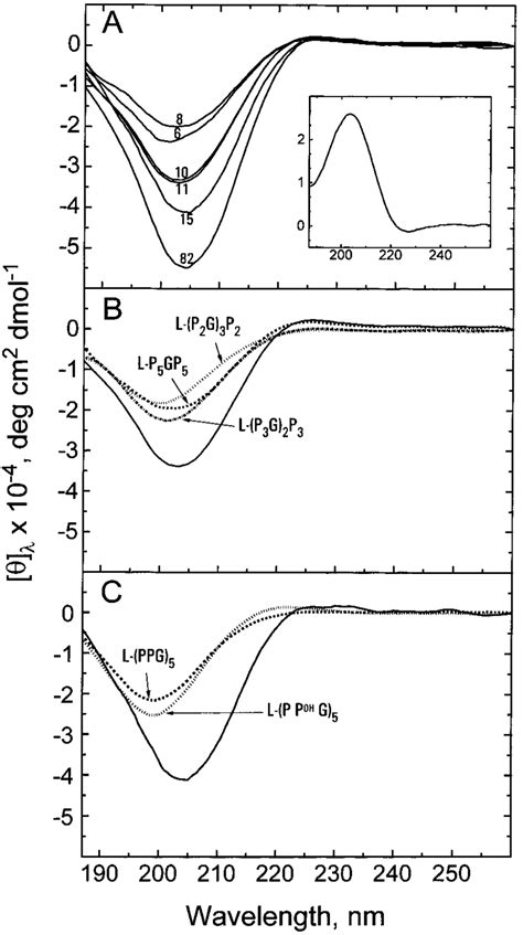 Circular Dichroism Spectra Of Proline Containing Peptides Spectra Are