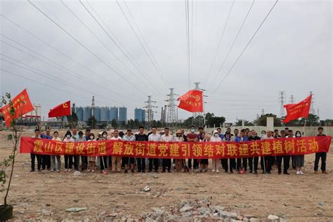 “植”此青绿，共“树”未来——霞山区建设街道 解放街道联手再掀义务植树热潮