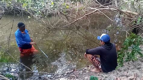 Pescaria Caipira Minhoca Pegamos Muitos Peixes E Assamos Na Beira