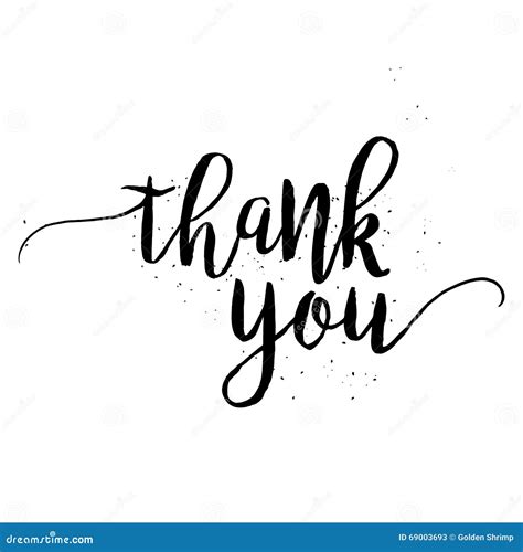 Thank You Calligraphy Sign Stock Vector Illustration Of Artistic