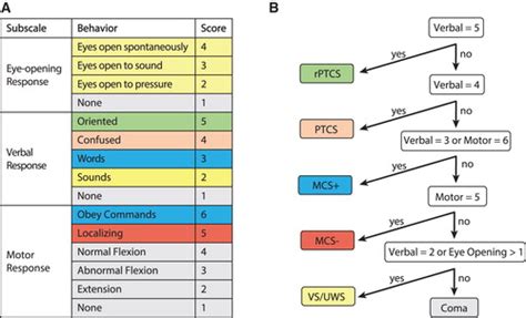 Glasgow Coma Scale Gcs Explained In Detail Caregiverology Off