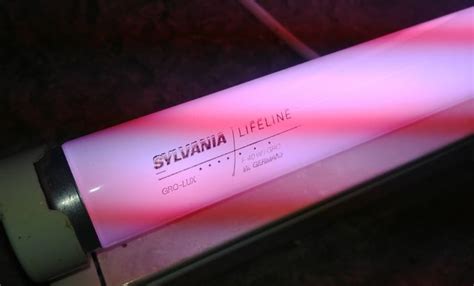 Lighting Gallery Net Fluorescent Tubes Sylvania Lifeline W Gro Lux Lit