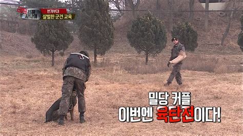 HOT 진짜 사나이 군견교육 냉탕과 온탕을 오가는 비상 수영 커플의 犬판 사랑과 전쟁 YouTube