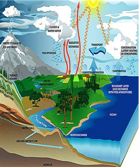 Distribucion Del Agua