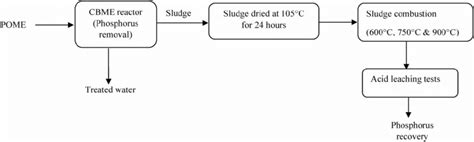 Flow Sheet Of Phosphorus Recovery Download Scientific Diagram