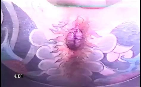 Full Length Piercing Gay Porn Videos XHamster