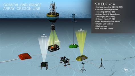 Coastal Upwelling Ooi Ocean Data Labs