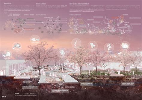 Addressing COVID-19 world, students take top honors at World Landscape Architecture competition ...