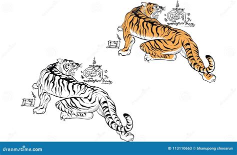 Thailand Traditional Tattoo Tiger Stock Vector Illustration Of Thai