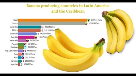 Principales Paises Productores De Banana En Latinoamerica Y El Caribe