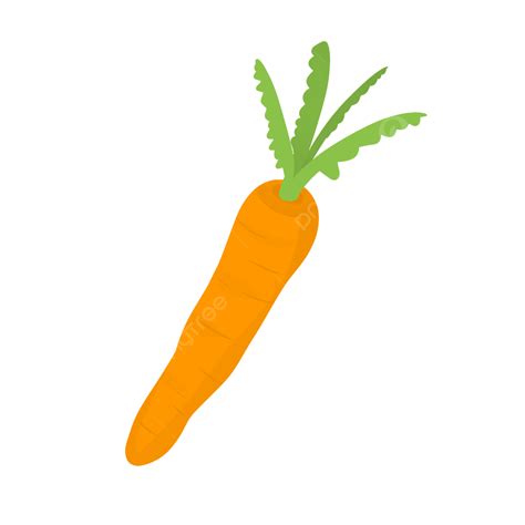 Zanahoria Simple Png Zanahoria Vegetal Naranja Png Y Psd Para