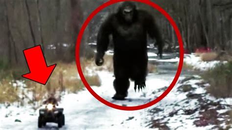 10 Mysterious Creatures In The Forest Woods Caught On Camera