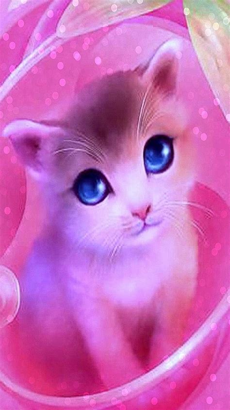 Cute Pink Cat Wallpaper Hd 4k - Infoupdate.org