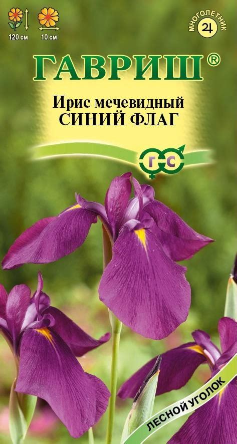 Ирис болотный Желтый