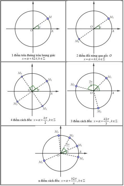 Biểu diễn nghiệm trên đường tròn lượng giác và sự ứng dụng trong toán học
