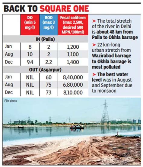 Yamuna River In Delhi More Polluted In December Than It Was In January