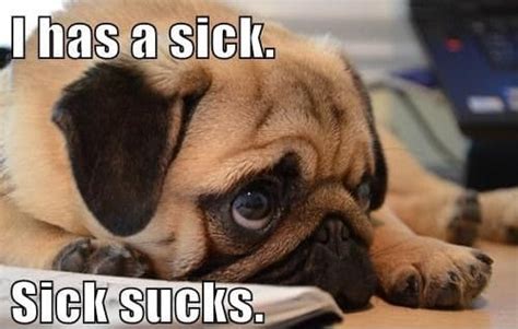 40 Hilarious Memes About Being Sick