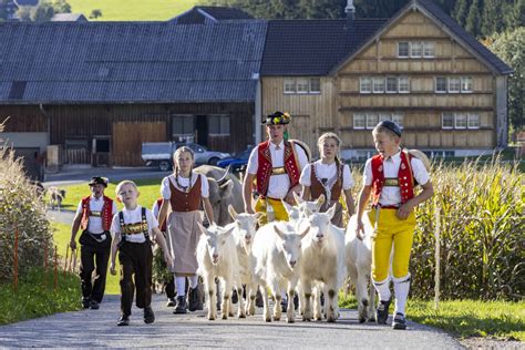 Appenzellerland Waldstatt ARTWIESE