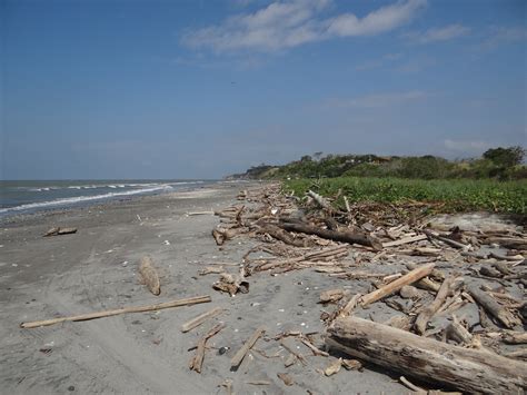 Playa África y palizada Río Verde Esmeraldas Ecuador Flickr