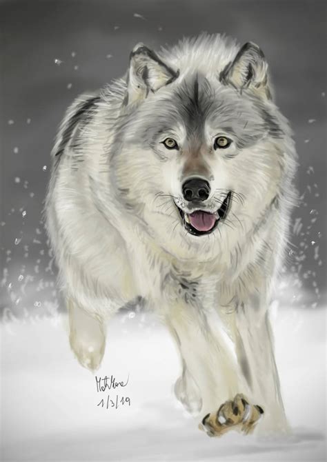 Running Wolf by matsmoebius on DeviantArt