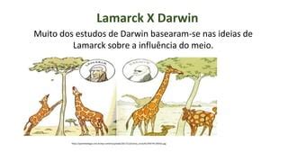 Biologia Darwinismo Pptx