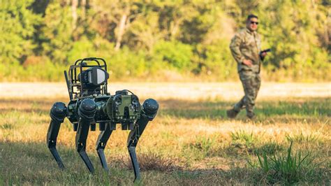 Israels Armee Setzt Auf Roboterhunde Capital De