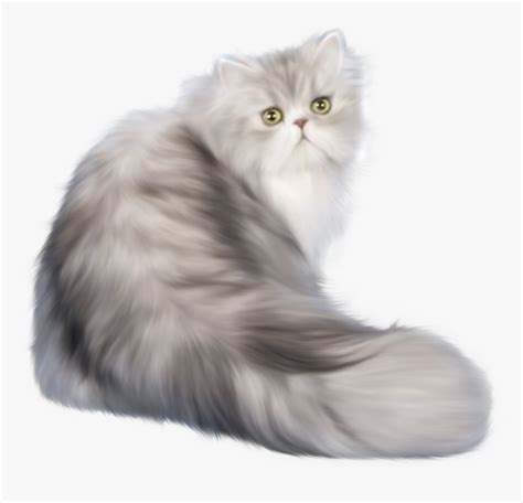 Persian Cat Clipart Clip Art Library Images And Photos Finder