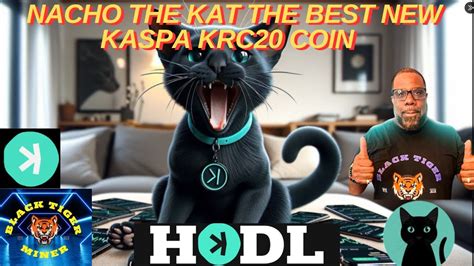 Kaspa Kas Pump Coming Soon Is Nacho The Kat The Best New Krc Token