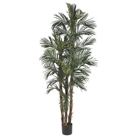 Earthflora Artificial Roebellinii Palms 6 Robellini Palm Silk Tree