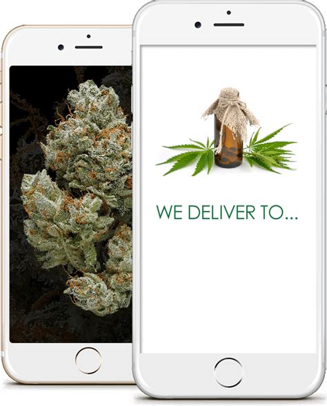 How To Start A Cannabis Delivery Business Business Plan Templates