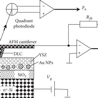 Schematic Representation Of The Experiment On The CAFM Investigation Of