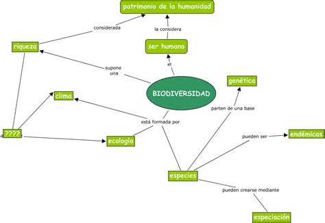 Mapa Conceptual De La Biodiversidad Guia Paso A Paso Images Porn Sex