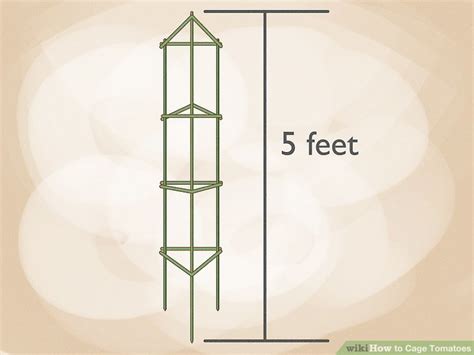 How to Cage Tomatoes: 14 Steps (with Pictures) - wikiHow