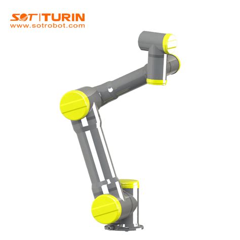 Turin Robotic Arm 6 Axis Manipulator 5kg 900mm Load Industrial Robot