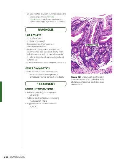 Hyperlipidemia: Video, Causes, & Meaning | Osmosis