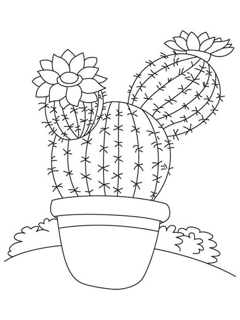 40 Desenhos De Plantas Para Colorir E Imprimir Online Cursos Gratuitos Flower Coloring Pages